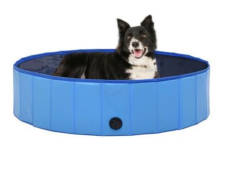 Piscina Portatile Blu per Cani Robusta Facile da Svuotare e Pulire 120 X 30